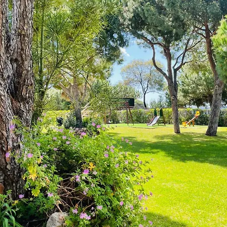 Bicos R By Check-in Portugal * 阿尔布费拉